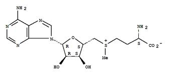S-Аденозил-L-метионин 1,4-бутандисульфонат (SAMe)